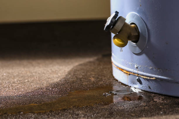 Best Water damage mitigation services  in Chewelah, WA