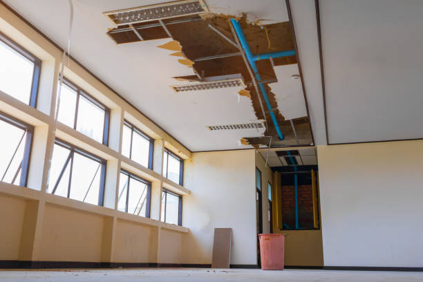Best Flood damage cleanup  in Chewelah, WA