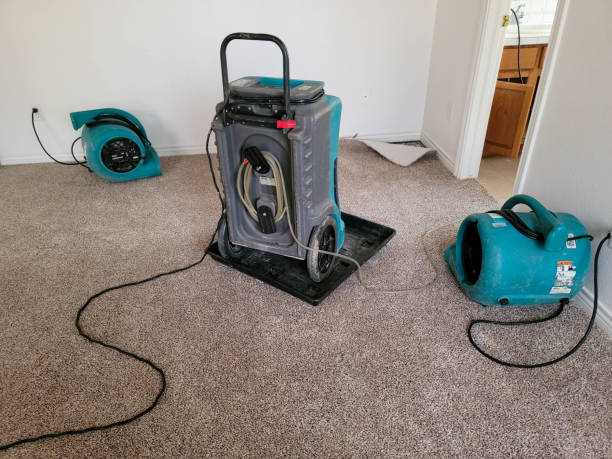 Best Fire Damage Restoration  in Chewelah, WA