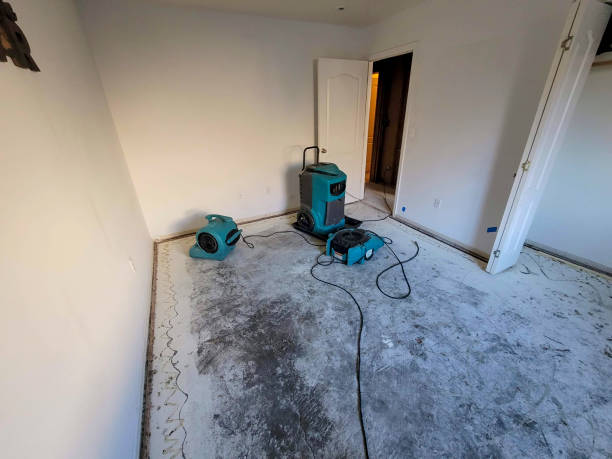 Best Water damage repair service  in Chewelah, WA