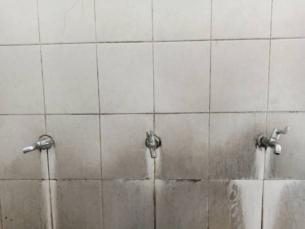 Best Water damage restoration near me  in Chewelah, WA