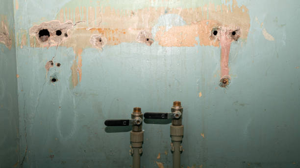  Chewelah, WA Water damage restoration Pros