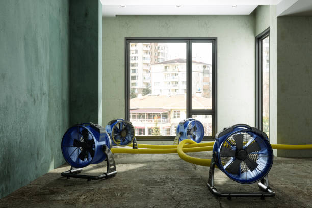 Best 24/7 water damage repair  in Chewelah, WA
