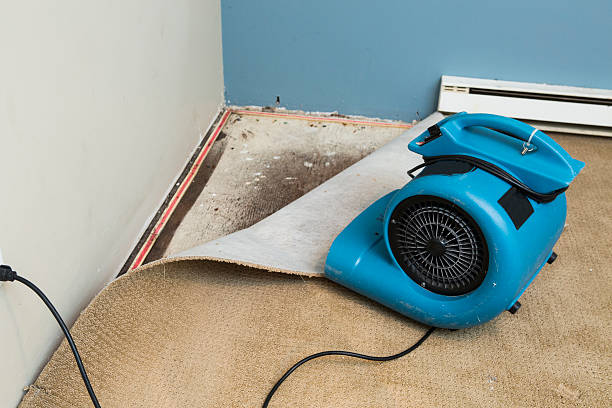 Best Residential water damage restoration  in Chewelah, WA